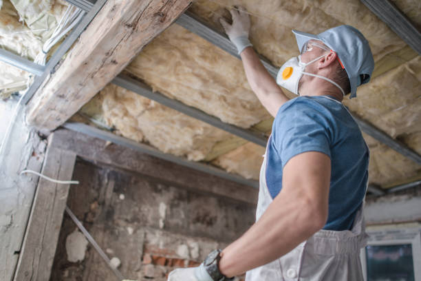 Best Insulation Materials and Products in Josephine, TX